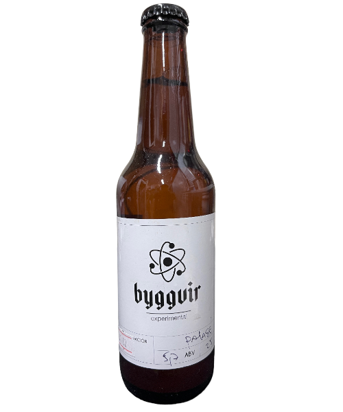 Cerveza artesanal byggvir Lager